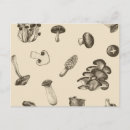 Search for mushroom postcards Fungi