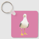 Search for seagulls key rings Photography