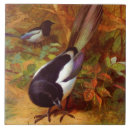 Search for magpie tiles Wildlife