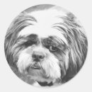 Search for shih tzu stickers Cute