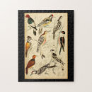 Search for natural history puzzles Illustration