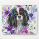 Search for tricolor mouse mats Pet