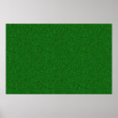 Search for lawns posters Grass