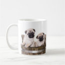 Search for pug pup mugs Dog