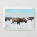 Search for bison bison cards Snow