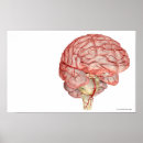 Search for rendering posters Human