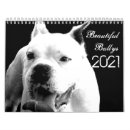 Search for pitbuls office supplies Bully