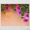 Search for framing flyers Floral