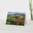 Search for danita delimont cards Garden