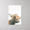 Search for highland cattle canvas prints Animal