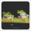Search for red frog stickers Green