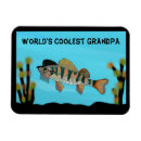 Search for fishes rectangular magnets For him
