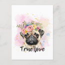 Search for true love postcards Beautiful