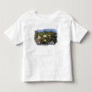 Search for catalina island tshirts California