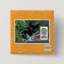 Search for evil square badges I can has cheezburger