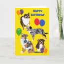 Search for australian shepherd birthday cards Aussies