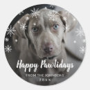 Search for dog tag stickers Happy pawlidays