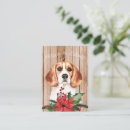 Search for face christmas cards Dog