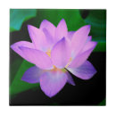 Search for lotus flower tiles Purple