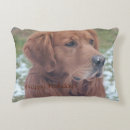 Search for golden retriever christmas cushions Animal