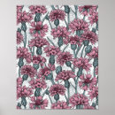 Search for cornflower posters Botanical