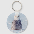 Search for owl images key rings Owls