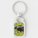 Search for lizard key rings Australian