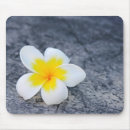 Search for plumeria mouse mats Island