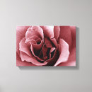 Search for rose drawing canvas prints Floral