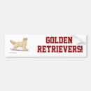 Search for hunting dog bumper stickers Golden