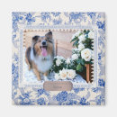 Search for frenchies magnets Pet
