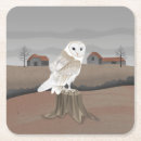 Search for owl coasters Autumn