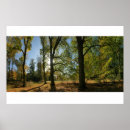 Search for panoramic posters Autumn