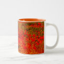 Search for worlds best poppy mugs Flowers