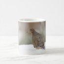 Search for mourning dove mugs Wildlife