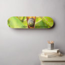 Search for calm skateboards Nature
