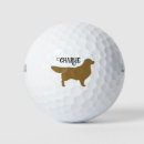 Search for golden retriever golf balls Pets