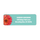 Search for gerber return address labels Gerbera daisy