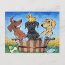 Search for labs postcards Pets