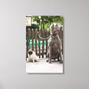 Search for pug dogs canvas prints Animal