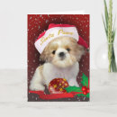 Search for santa paws christmas cards Xmas
