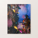 Search for coral reef puzzles Great barrier reef