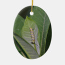 Search for caterpillar christmas tree decorations Milkweed
