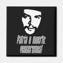 Search for che magnets Revolution