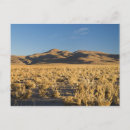 Search for altiplano postcards Nature
