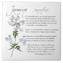 Search for jasmine home living Flowers