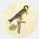 Search for perch stickers Bird