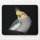 Search for cockatiels mouse mats Pet