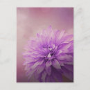 Search for magnetic postcards Beautiful
