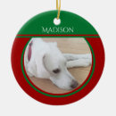 Search for dog name christmas tree decorations Green